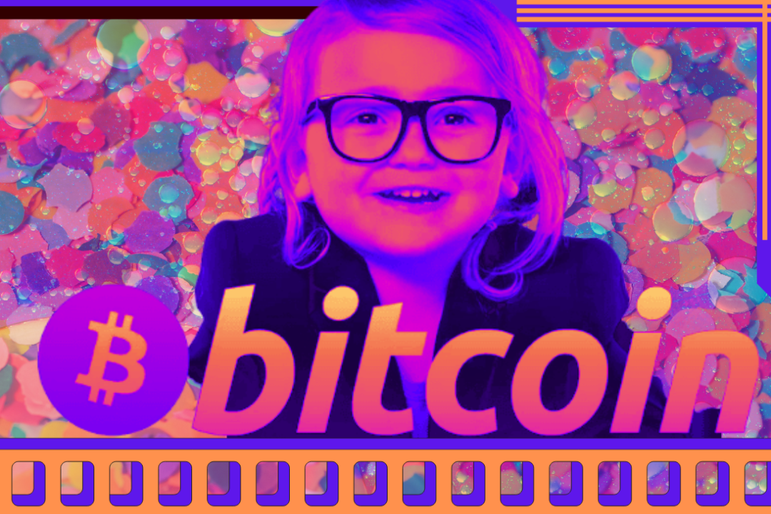 Exploring Bitcoin-Rabbit-Hole with Lily Knight